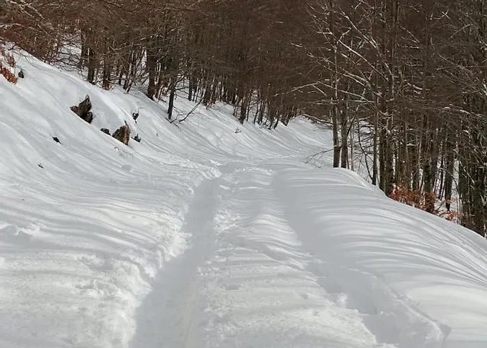 דירה A Casa Di Olly *